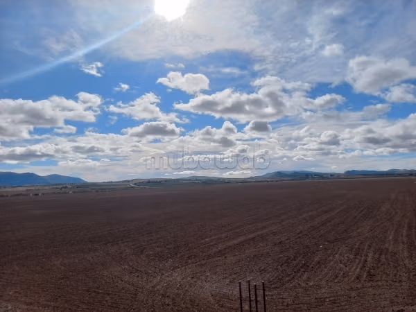 À Vendre 16 HKT à elfahes zaghwan