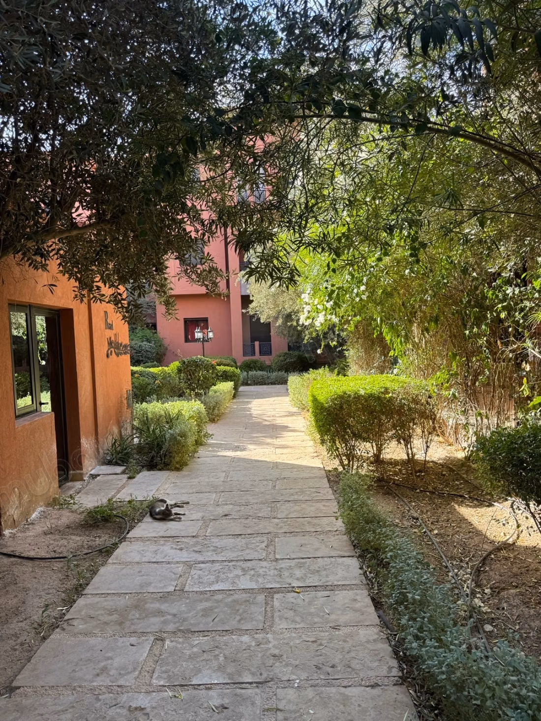 Appartement 169 m2 a vendre à Janat Zaytoune 
côté grand stade