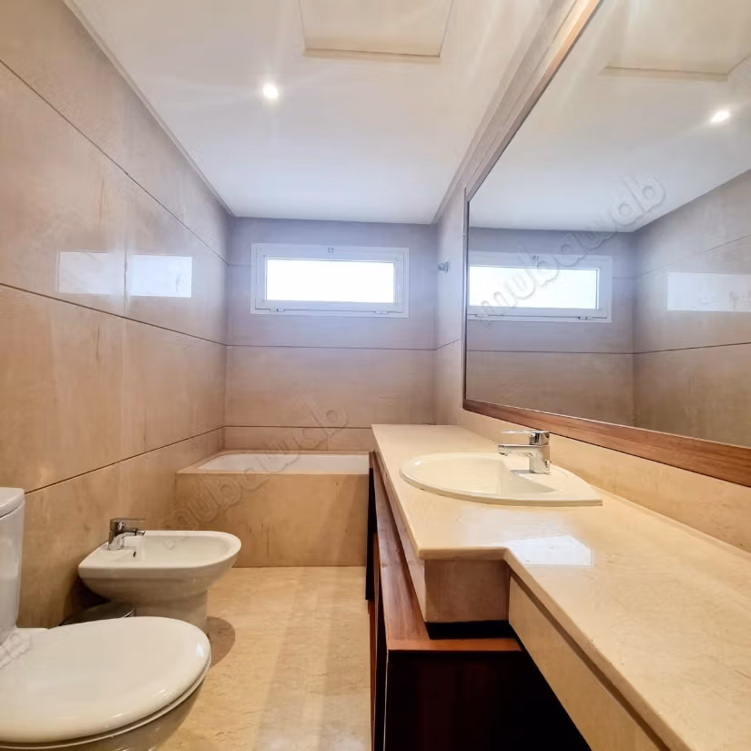 Bel appartement moderne plein Racine 
avec extérieurs à louer