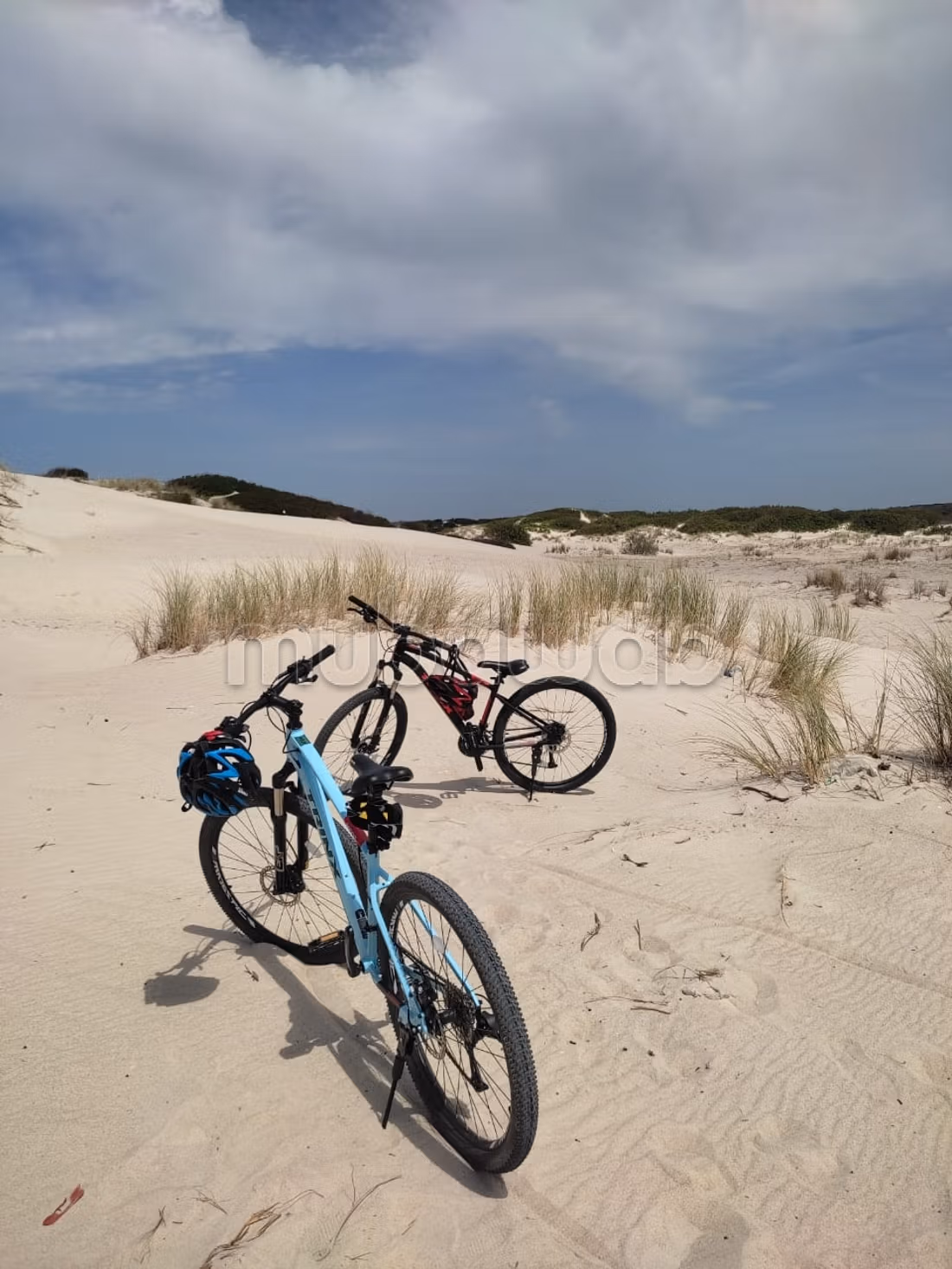 Beau terrain en location. Surface de 5000 m²