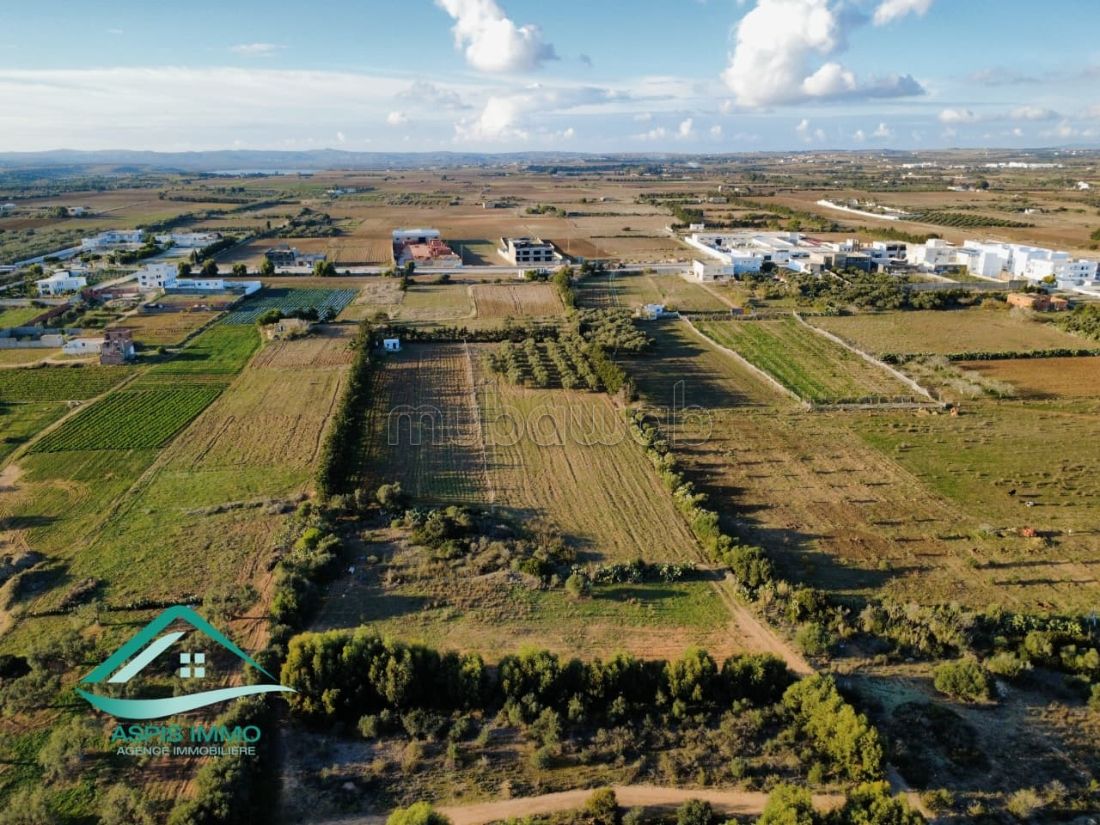 Terrain agricole 8300 m² à Kelibia