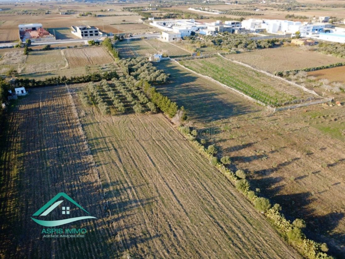Terrain agricole 8300 m² à Kelibia