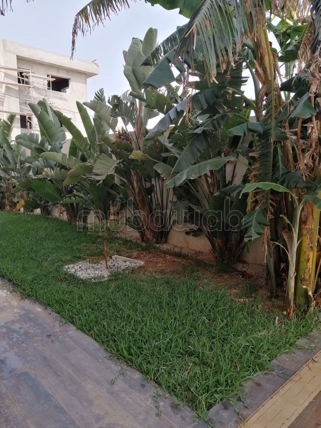 Luxueuse Villa avec piscine à la soukra
