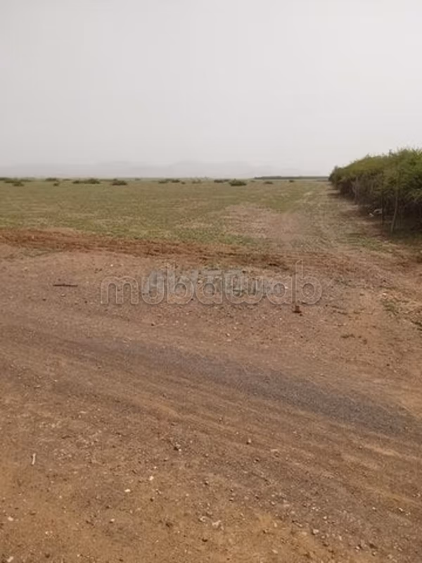 Terrain Agricole pour Projet