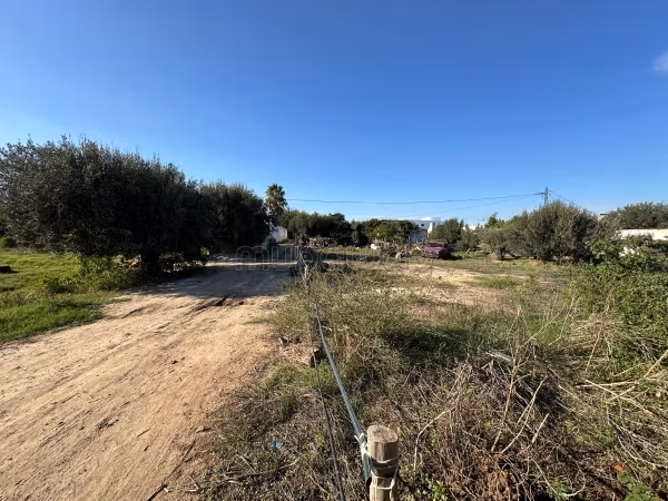 Acquista questo bel terreno a Hammamet. Superficie di 680 m²
