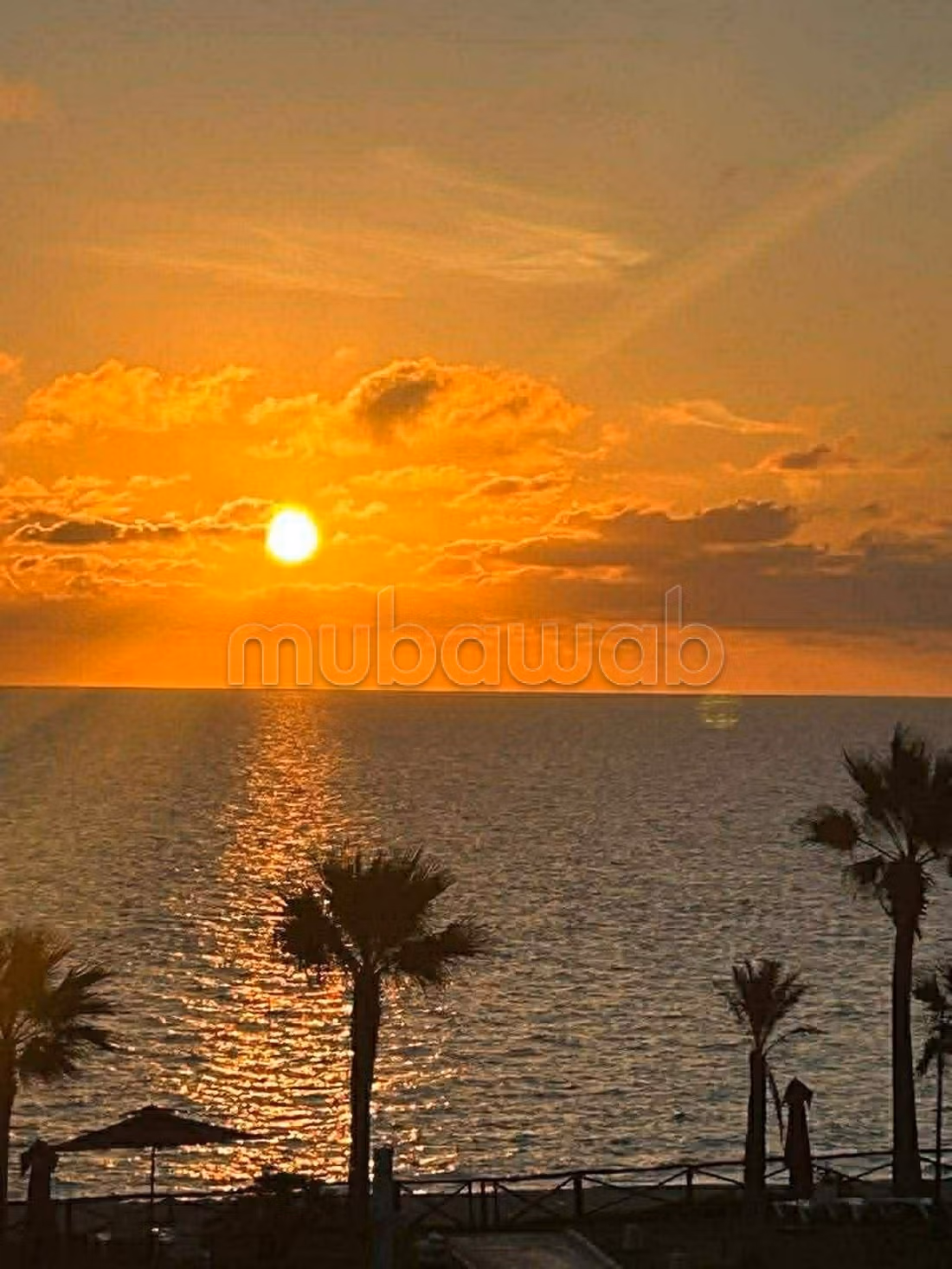 S2 Meublée à sousse