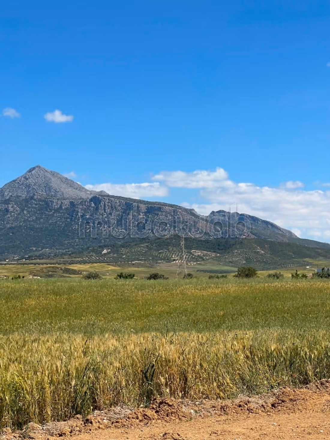 Land for sale. Large area 32941 m²
