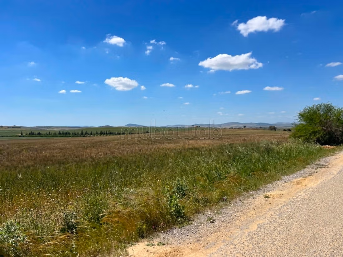 Land for sale. Large area 32941 m²