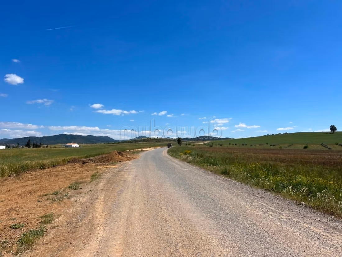 Land for sale. Large area 32941 m²