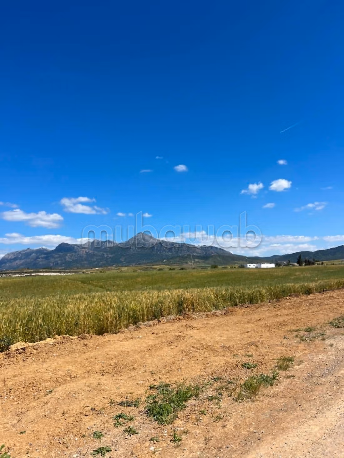Land for sale. Large area 32941 m²