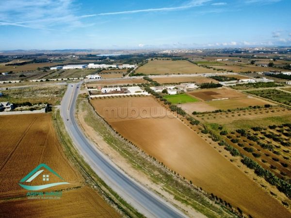 Terrain 1000 m² route principale ceinture Kelibia