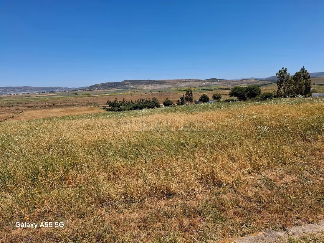 Terrain de 183ha pas loin du périmètre urbain