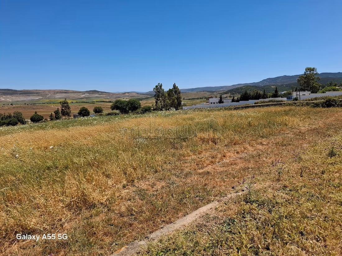 Terrain de 183ha pas loin du périmètre urbain