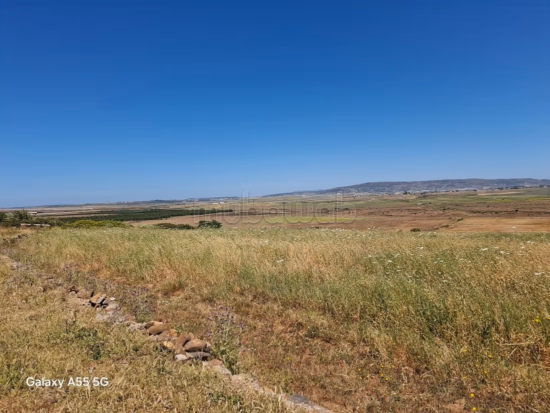 Terrain de 183ha pas loin du périmètre urbain