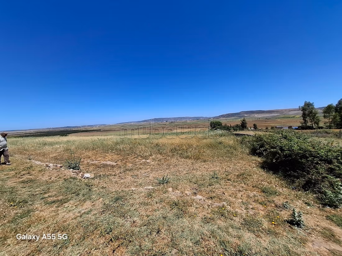 Terrain de 183ha pas loin du périmètre urbain