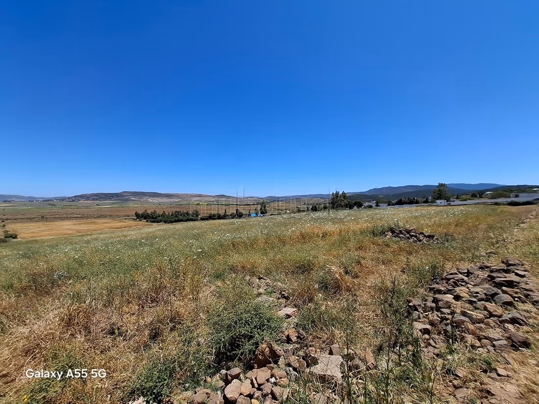 Terrain de 183ha pas loin du périmètre urbain