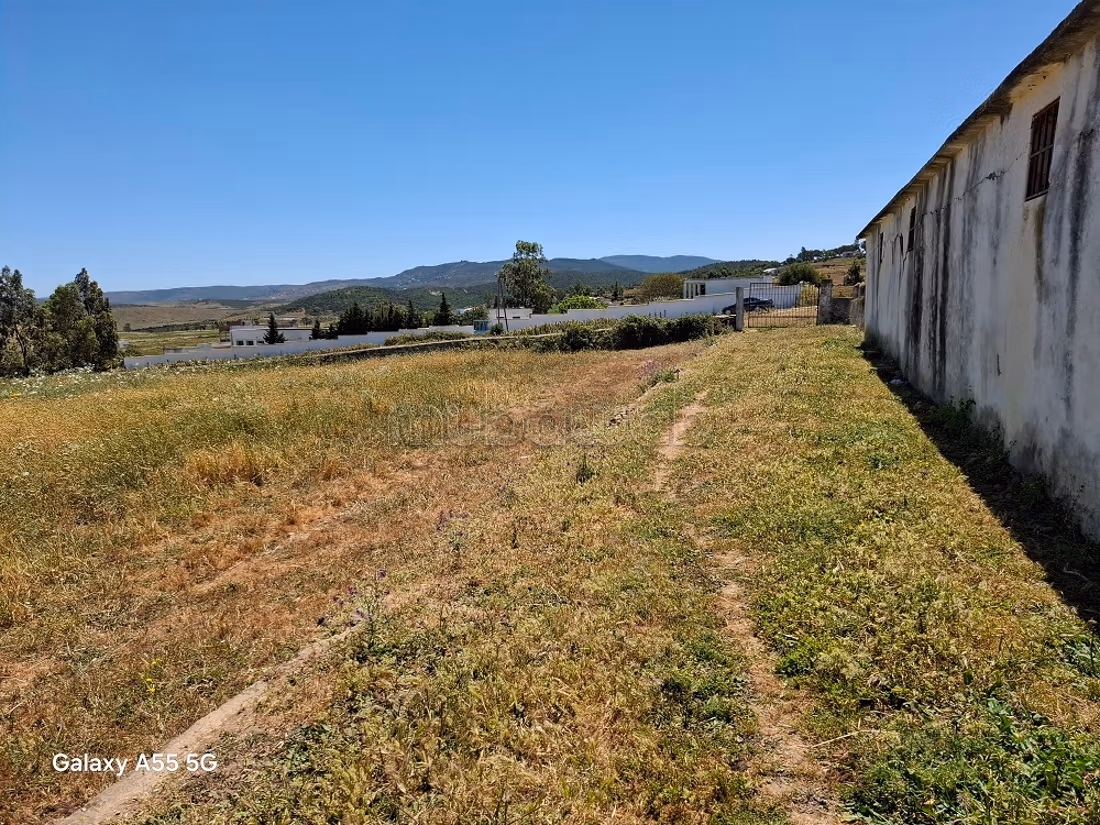 Terrain de 183ha pas loin du périmètre urbain