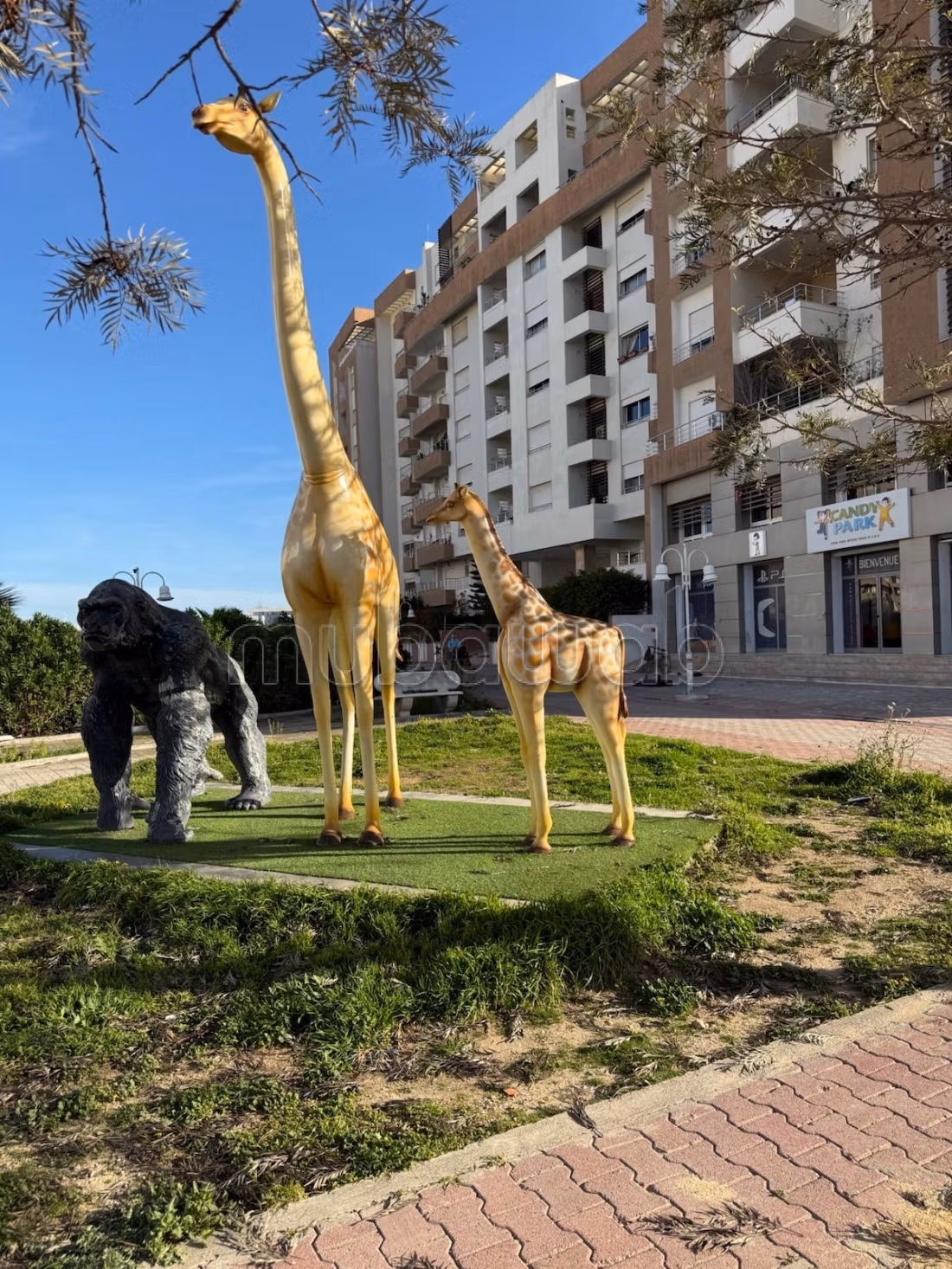 S2 moderne aux Jardins de Carthage bien sécurisé