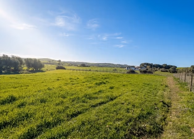 Terrain titré 4500 m² près d’Asilah