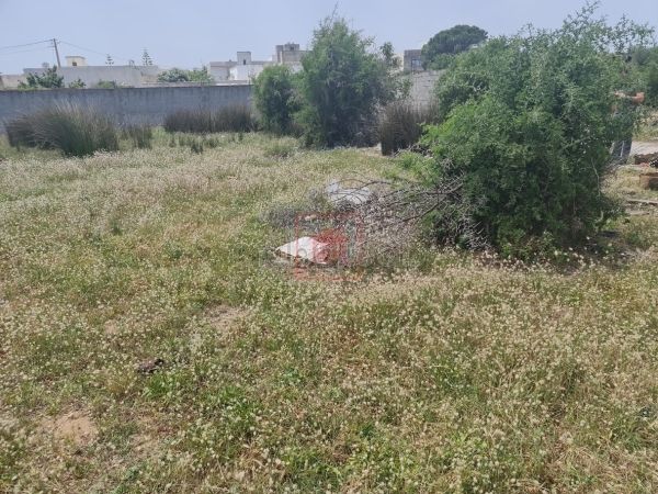 Terrain de 404m² Pour Villa R2 à Sidi Salah