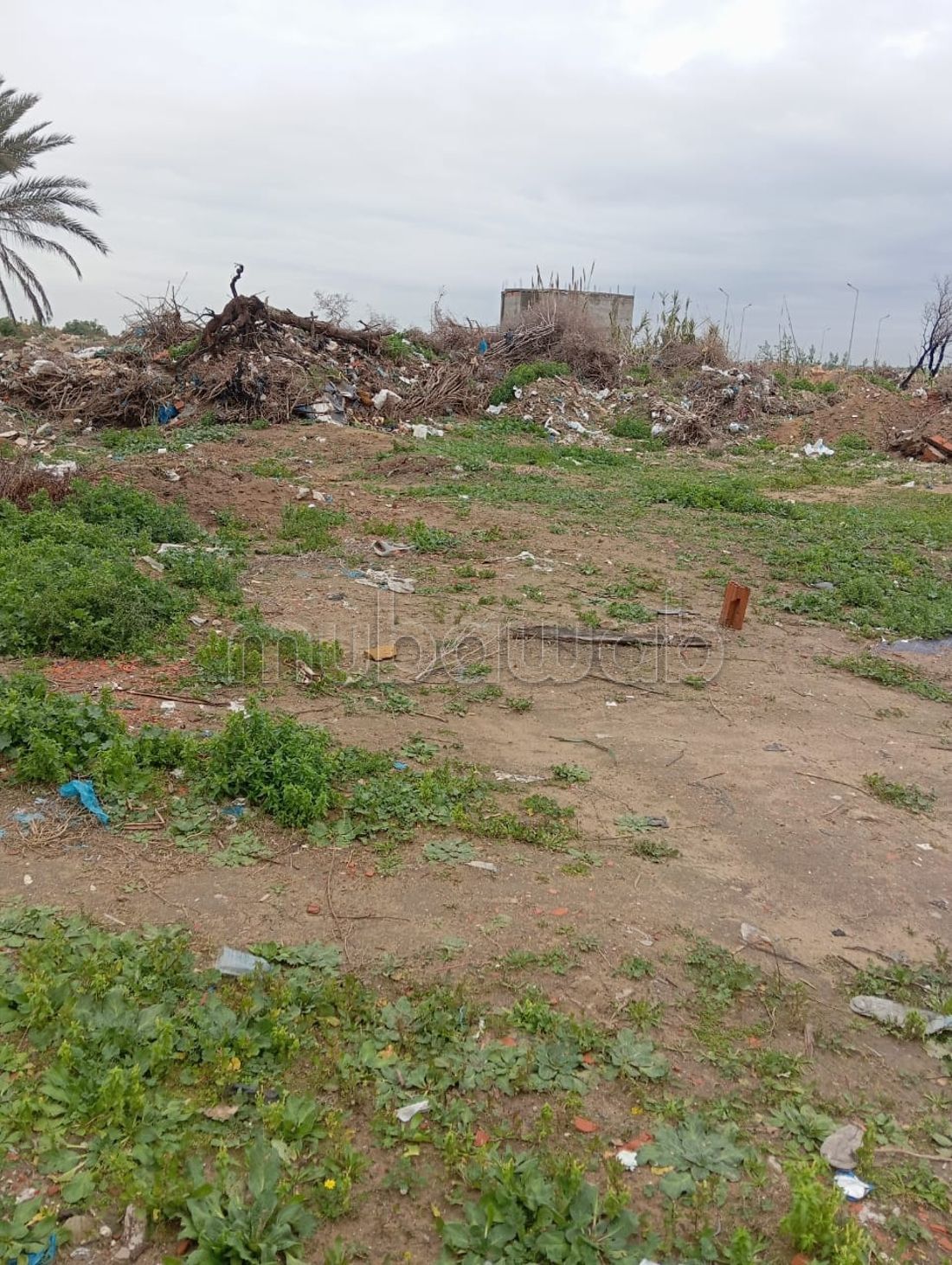 Terrain à la soukra sidi frej