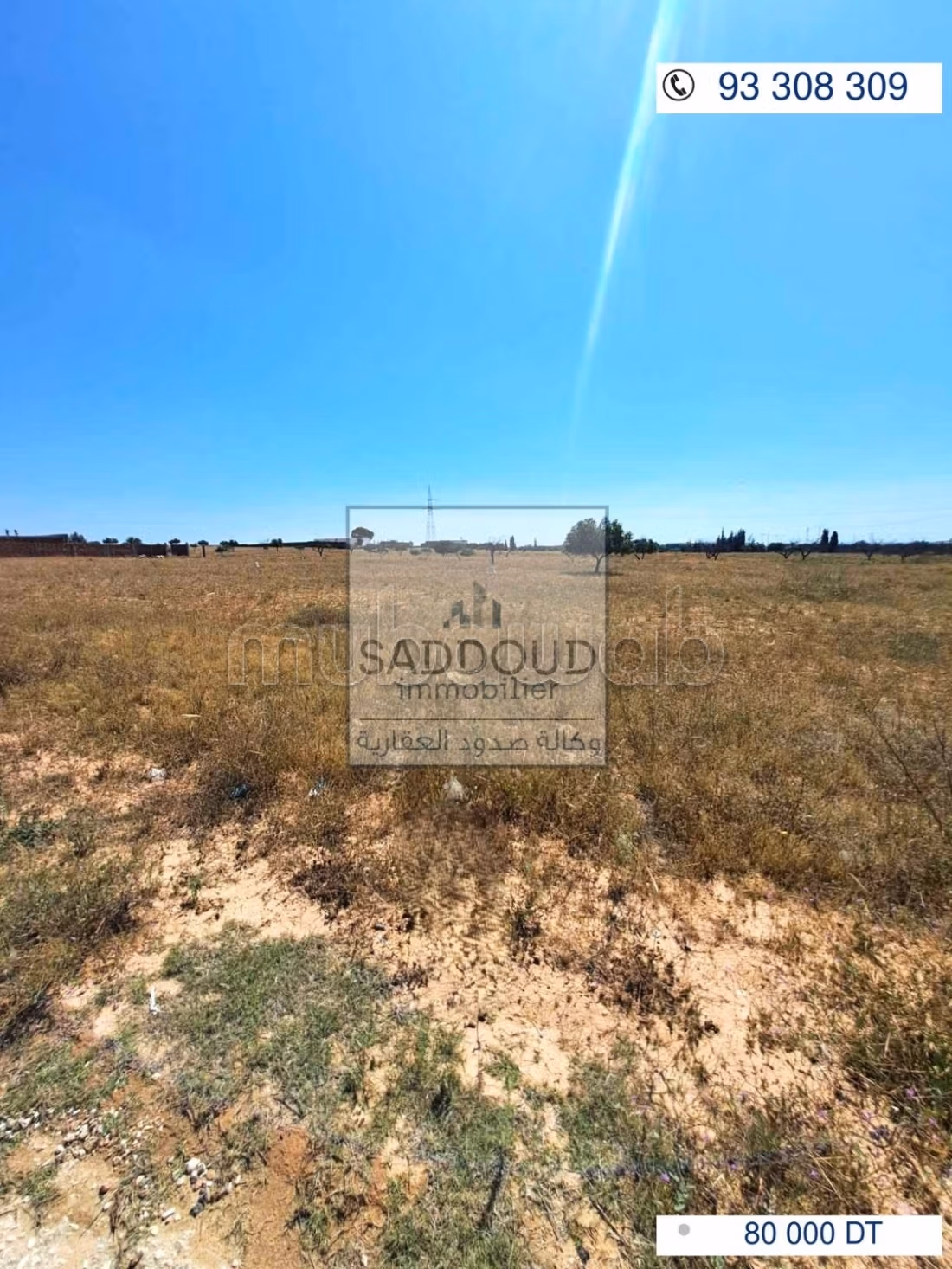 Terrain à vendre 1000m² route menzel chaker km 14