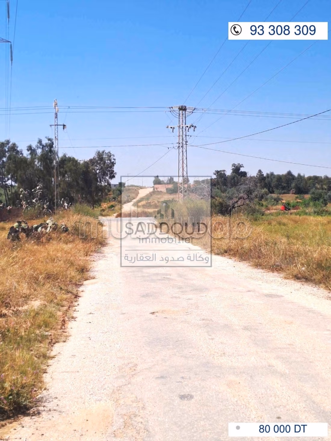 Terrain à vendre 1000m² route menzel chaker km 14