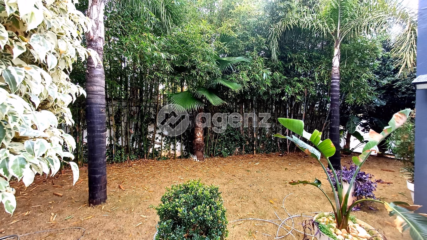 Fabulous house for sale. 4 rooms. Private garden, Cellar