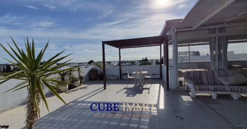 Pinthouse meublé avec grande terrasse vue dégagée