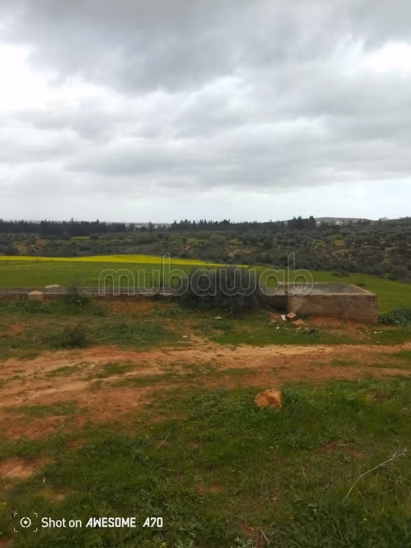 Terrain de 1 hectare à Sidi Thabet