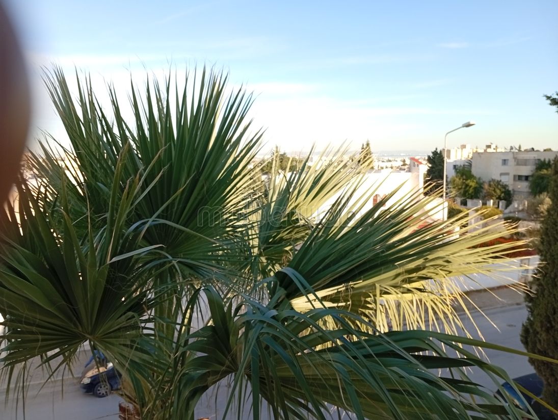 Vente menzah9A villa R2 haut standing