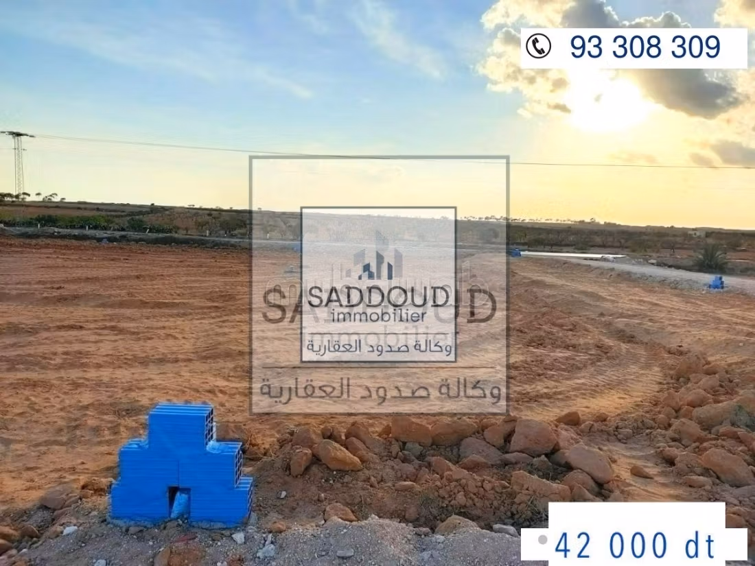 Terrain à vendre – Route Manzel Chaker Km 15