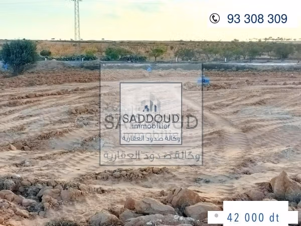 Terrain à vendre – Route Manzel Chaker Km 15