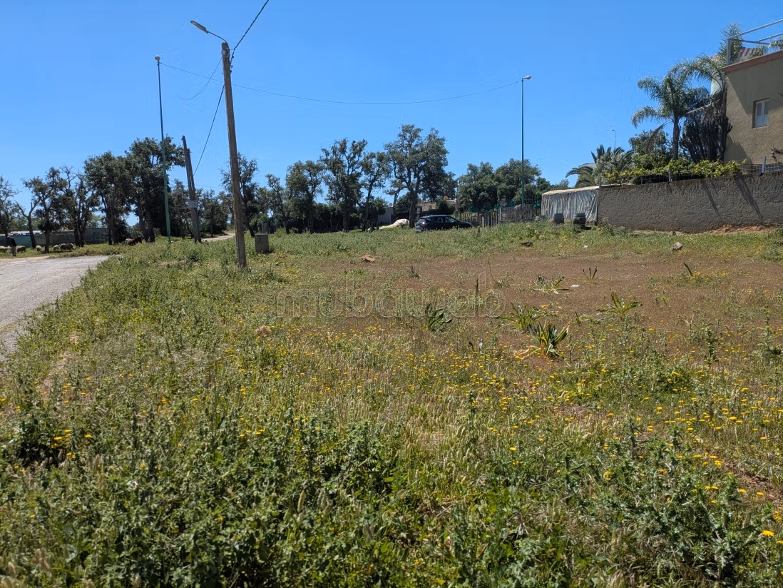 Terreno en venta en Alfilline. Superficie de 485 m²