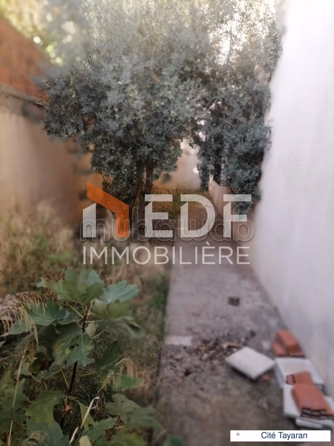 Vendita villa di lusso a Bizerte. 6 locali spaziosi. Garage e terrazzo