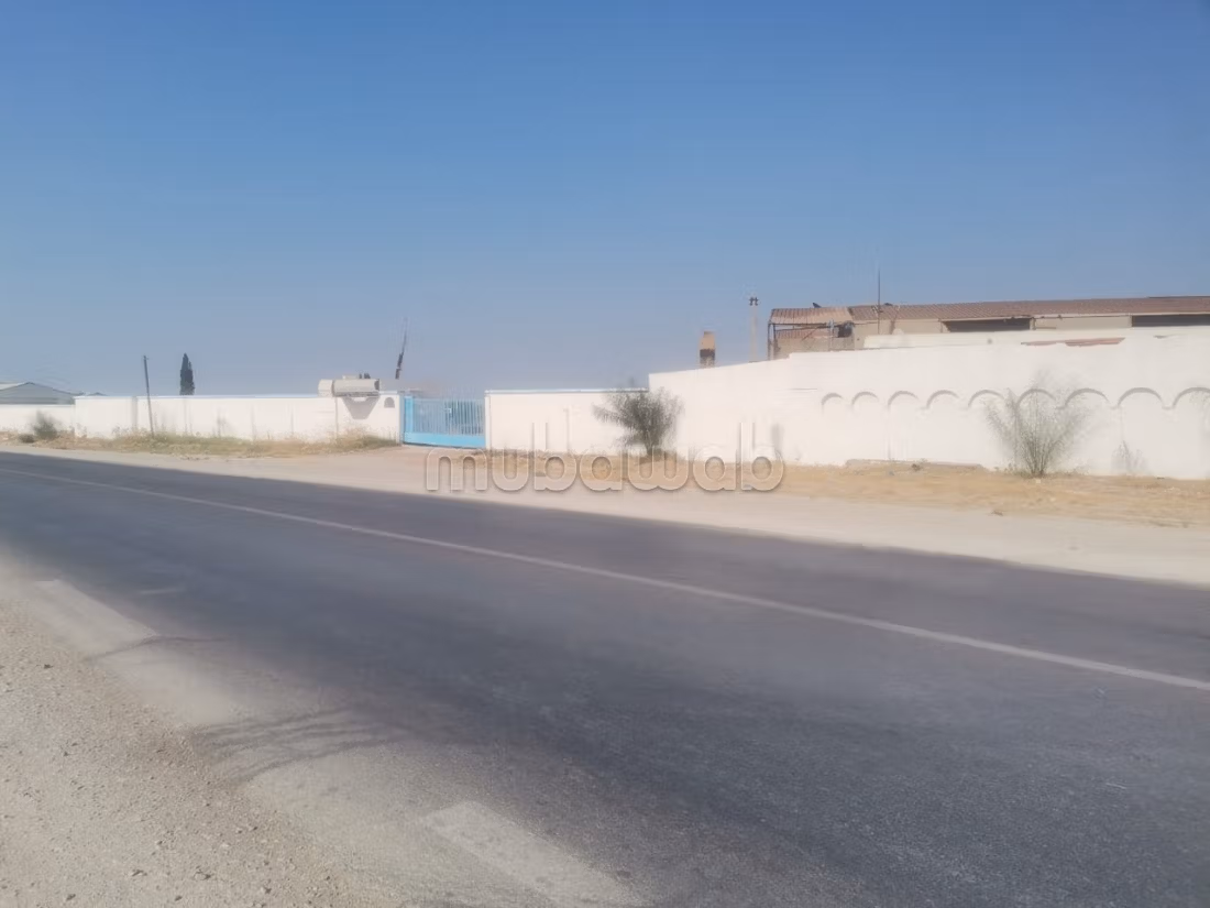 Usine et terrain route eljem moknine