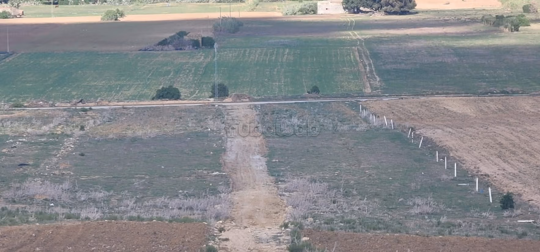 Land for sale. Small area 100 m²
