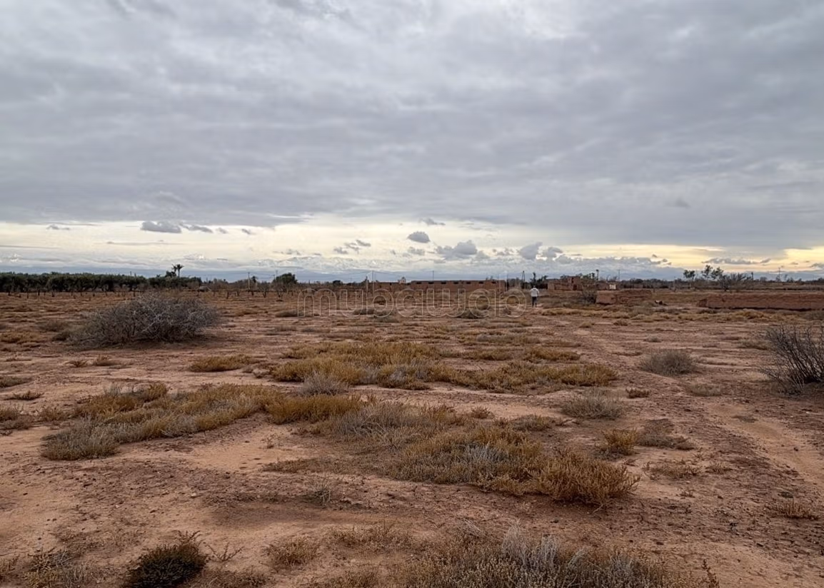 Terrain exceptionnel de 2 hectares, Vue Atlas