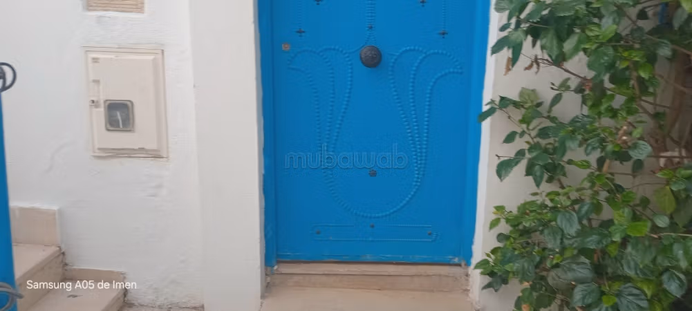 Triplex à sidi bou said à vendre