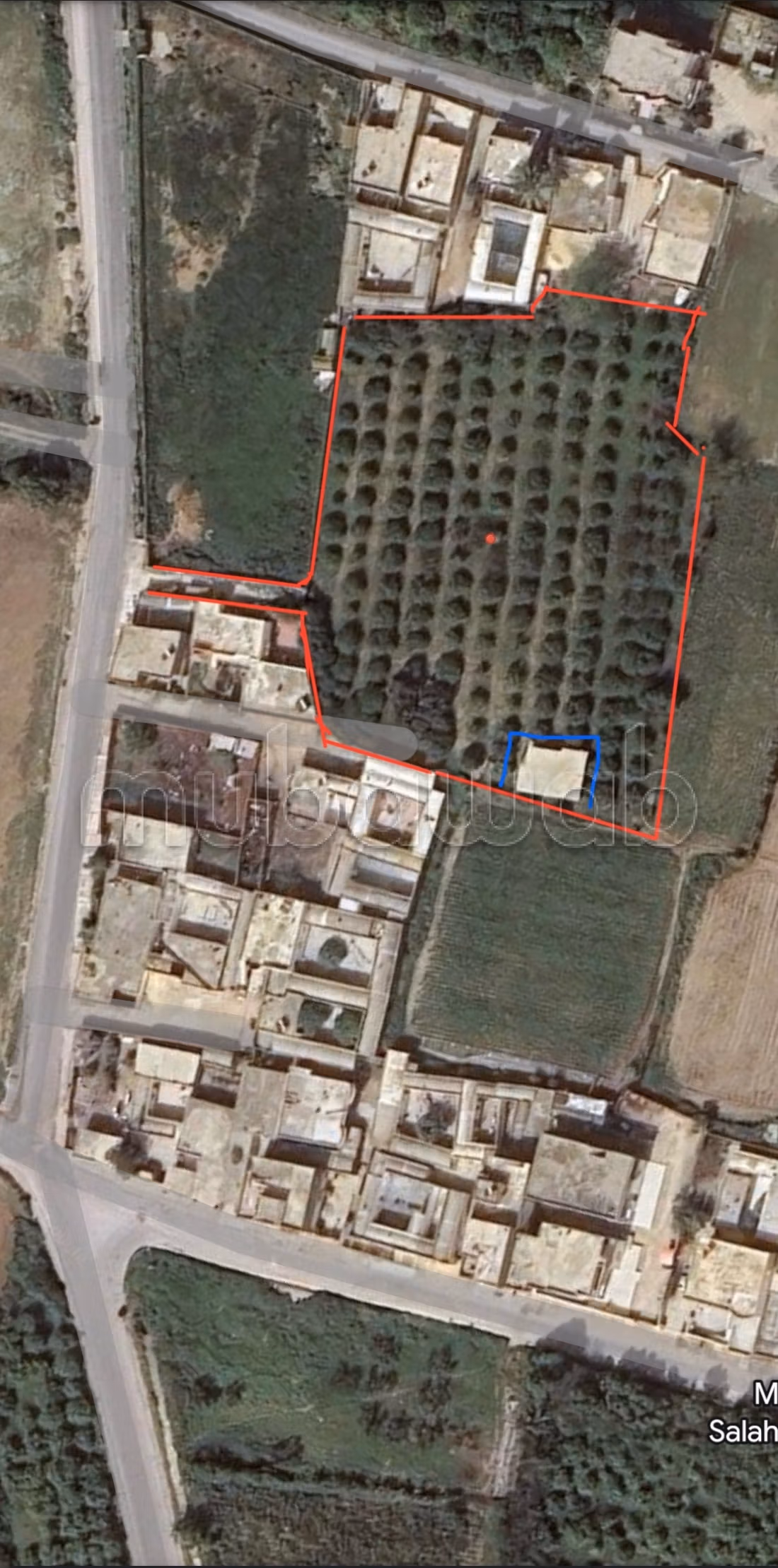 Nice farm for sale. Dimension 5863 m²