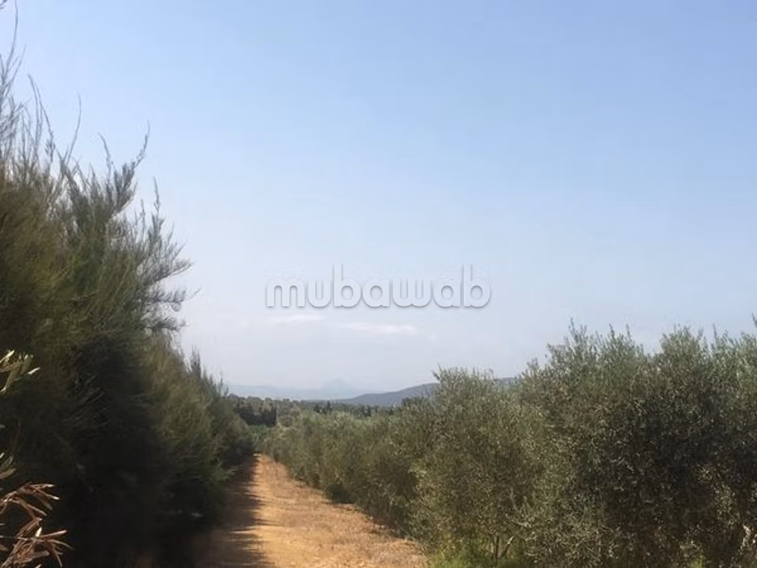 Acquista questo bel terreno. Superficie 150000 m²