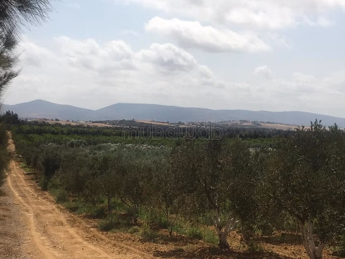 Acquista questo bel terreno. Superficie 150000 m²