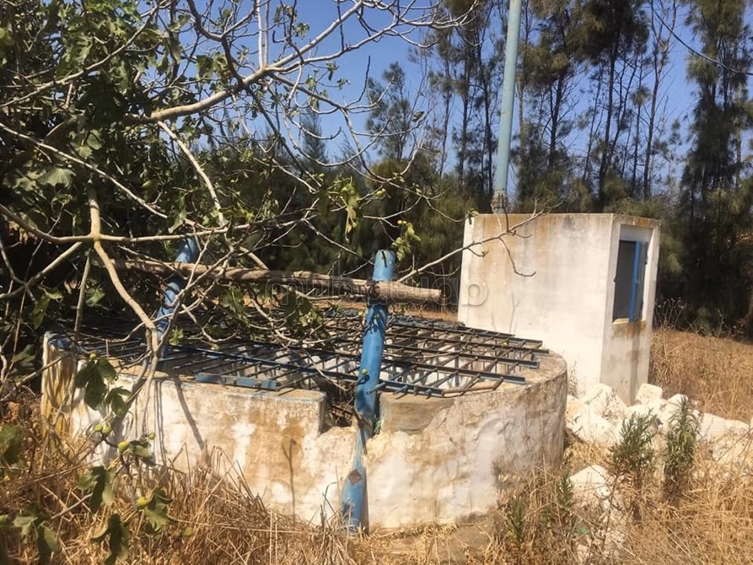 Acquista questo bel terreno. Superficie 150000 m²