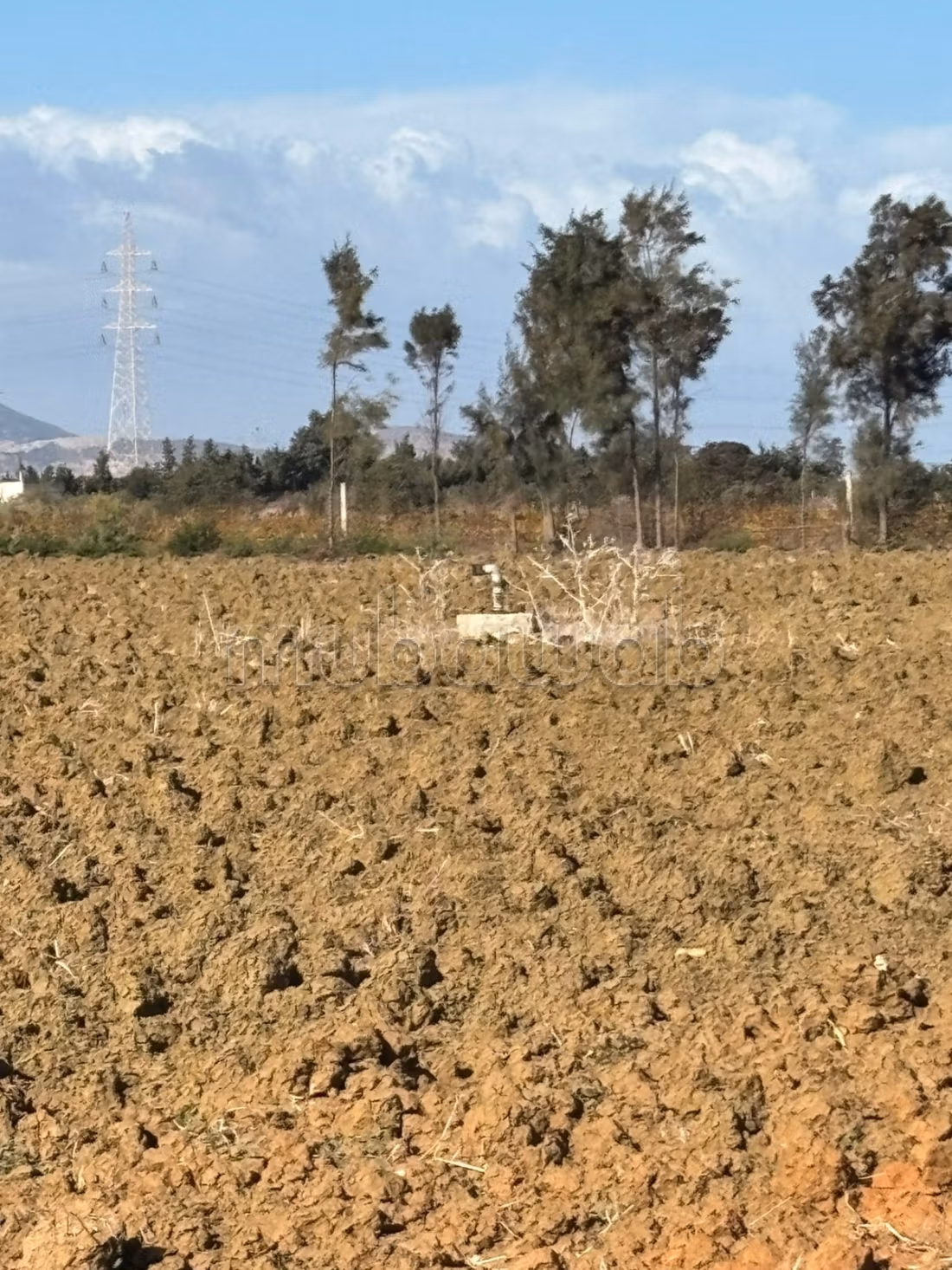 A vendre terrain agricole 5 hectare terrain nu