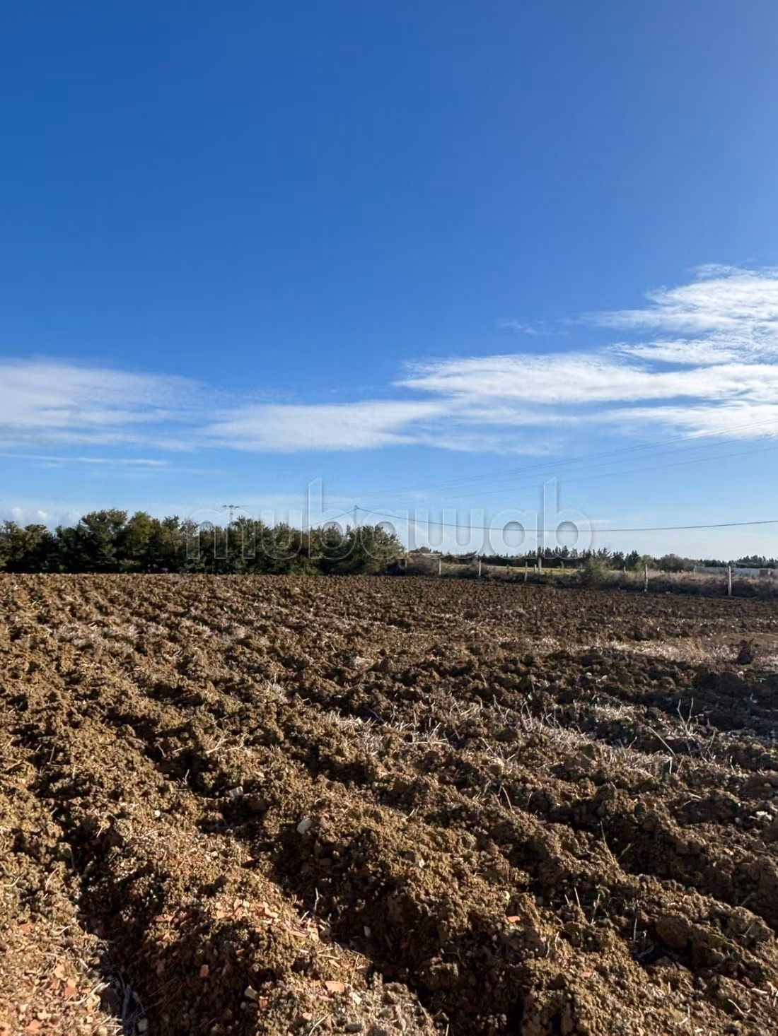 A vendre terrain agricole 5 hectare terrain nu