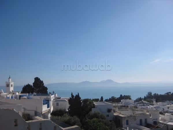 Casa di lusso in vendita a Sidi Bousaid. Superficie totale 900 m². Arredato