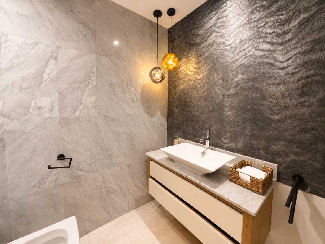 Racine/Appartement à louer meublé NEUF 165m² 3ch
