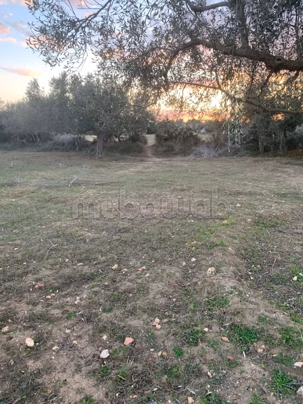 A vendre Un terrain proximité du du AFH 2