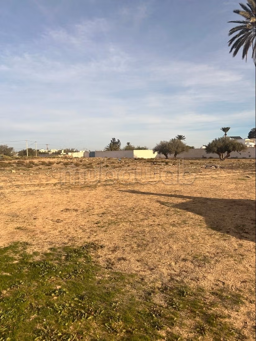 À VENDRE – Terrain exceptionnel à Djerba Midoun