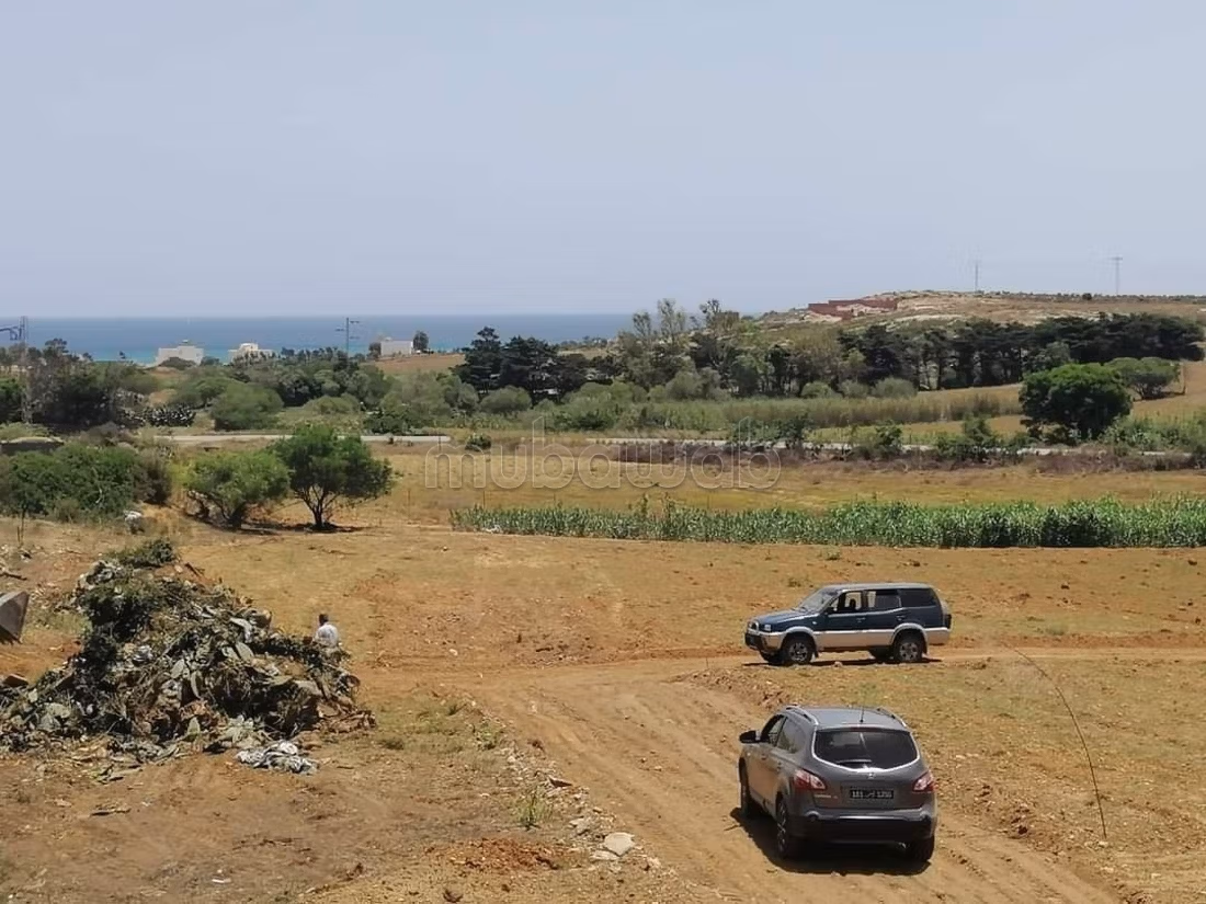 Land for sale. Dimension 210 m²
